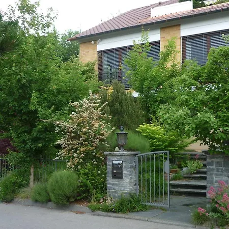 Urban - Ahorn -- * Meersburg