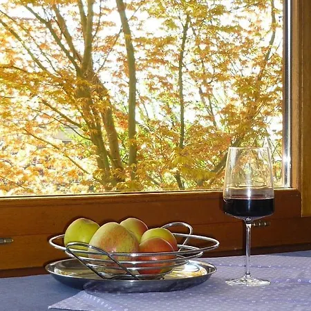 Διαμέρισμα Urban - Ahorn -- Meersburg