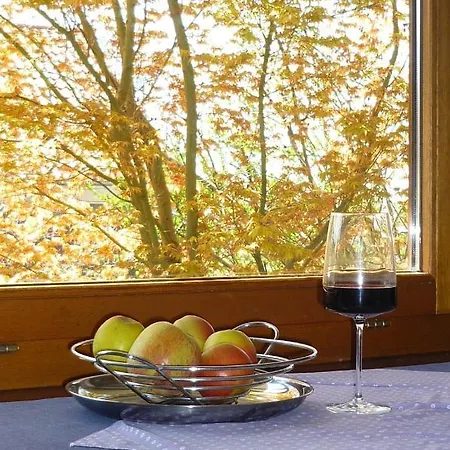 Apartman Urban - Ahorn -- Meersburg