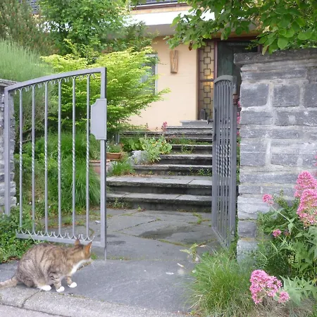 Urban - Ahorn -- * Meersburg