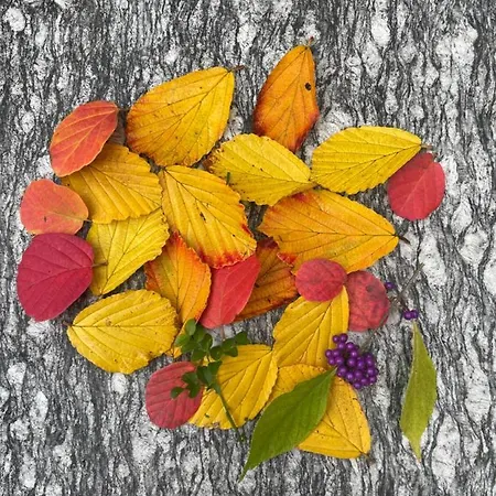 Διαμέρισμα Urban - Ahorn -- Meersburg