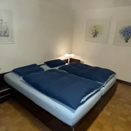 Urban - Ahorn -- * Meersburg