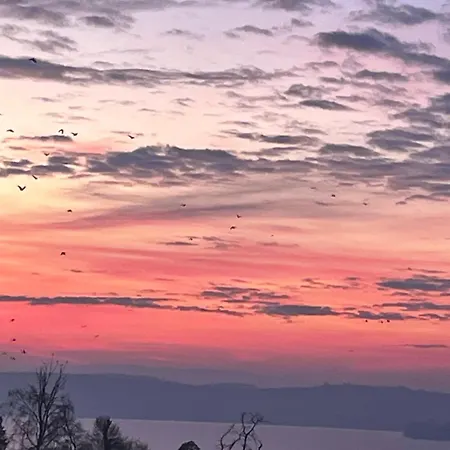 Διαμέρισμα Urban - Ahorn -- *