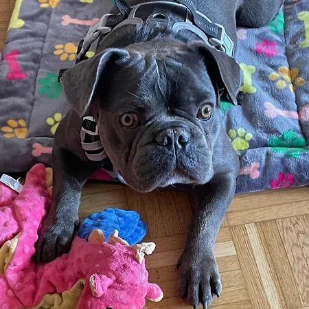 شقة Urban - Ahorn -- ميرسبرغ