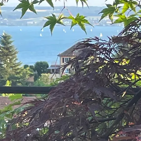 Διαμέρισμα Urban - Ahorn --