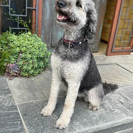 Urban - Ahorn -- شقة *