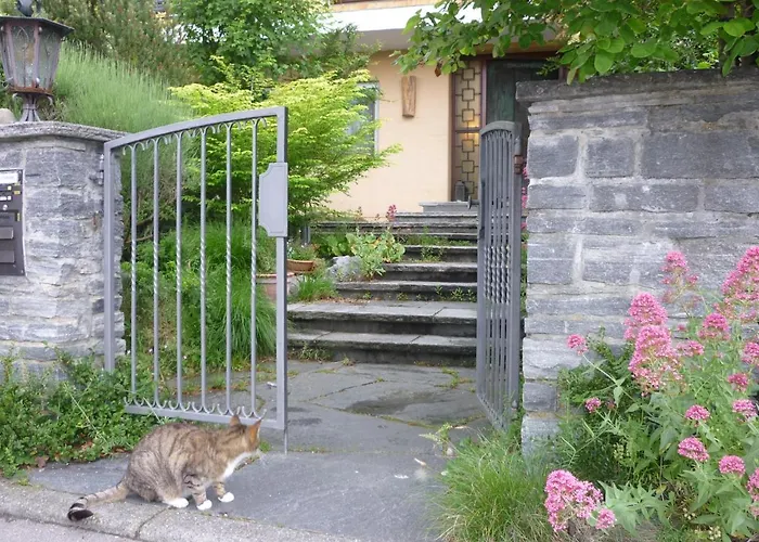 Urban - Ahorn -- * ميرسبرغ