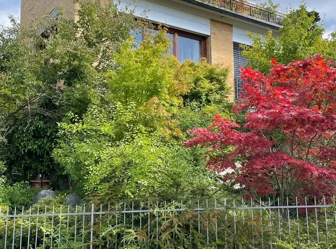 Urban - Ahorn -- * ميرسبرغ