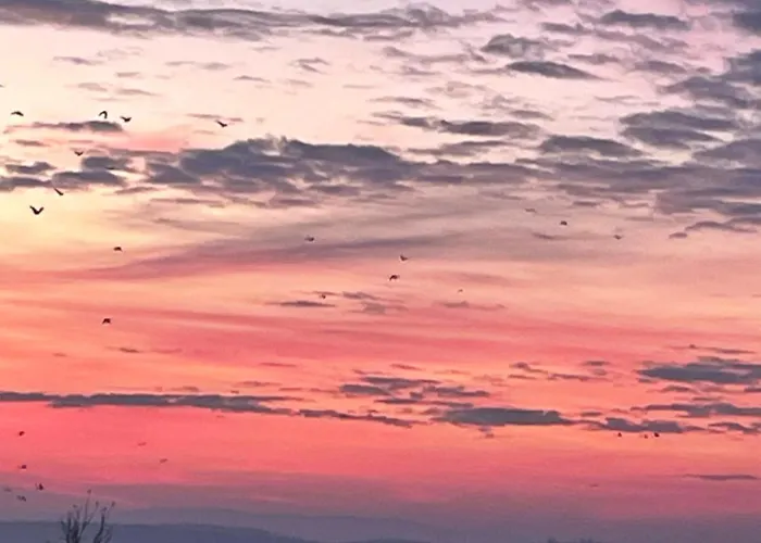 شقة Urban - Ahorn -- *