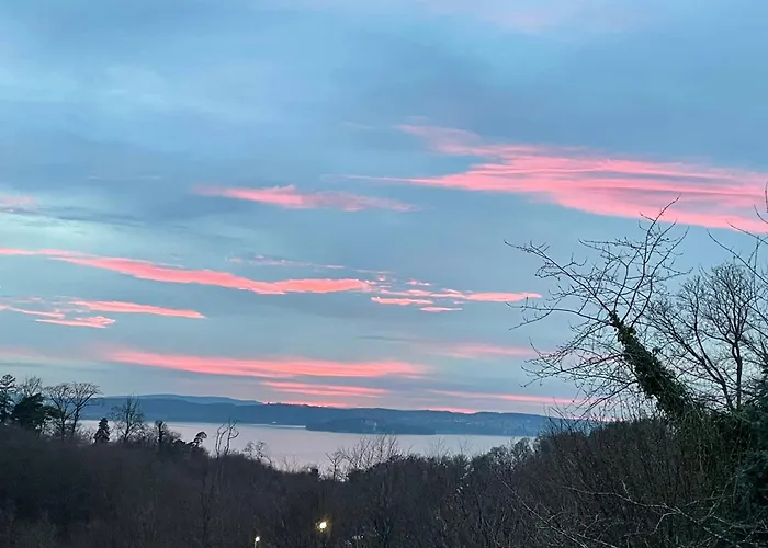 شقة Urban - Ahorn -- *