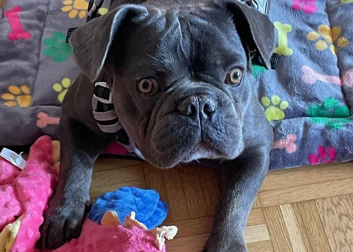 شقة Urban - Ahorn -- ميرسبرغ